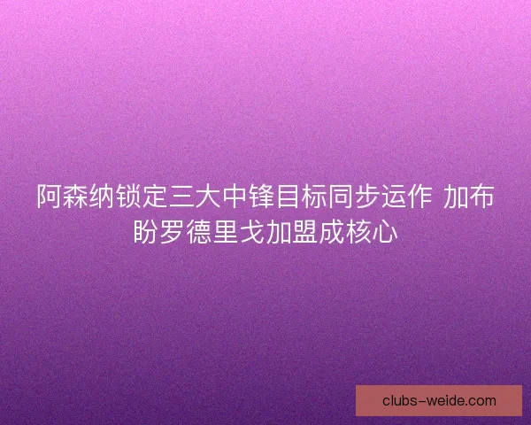 阿森纳锁定三大中锋目标同步运作 加布盼罗德里戈加盟成核心