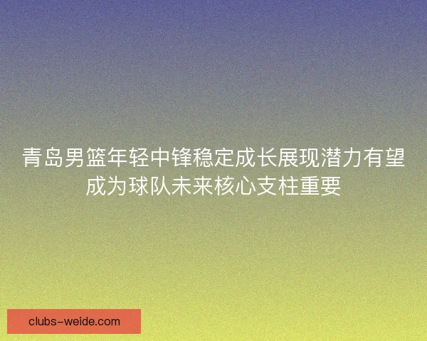 青岛男篮年轻中锋稳定成长展现潜力有望成为球队未来核心支柱重要